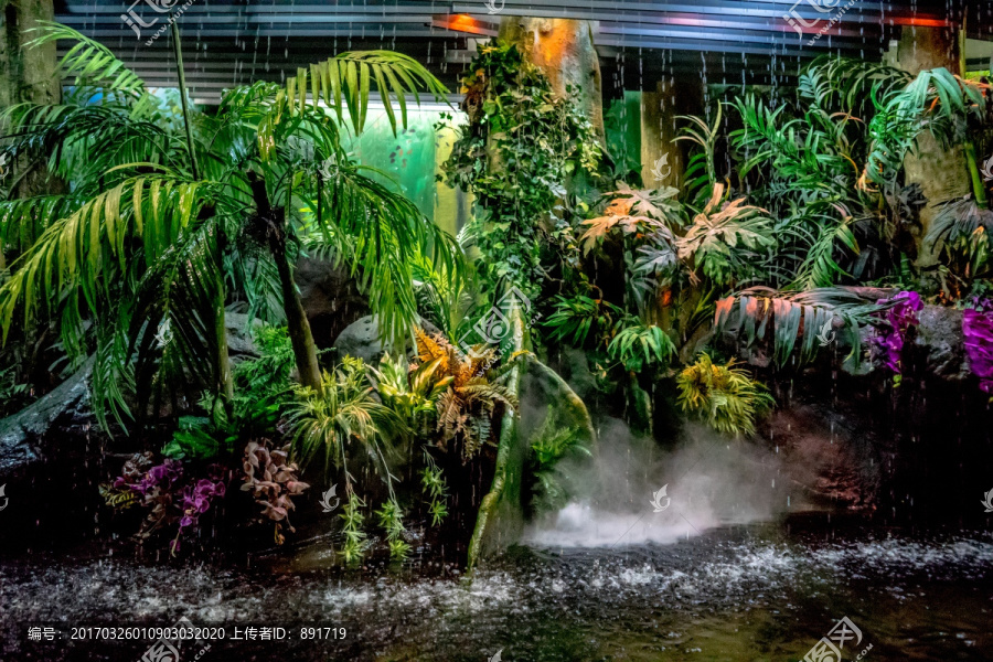 水族馆场景,生态系统模拟