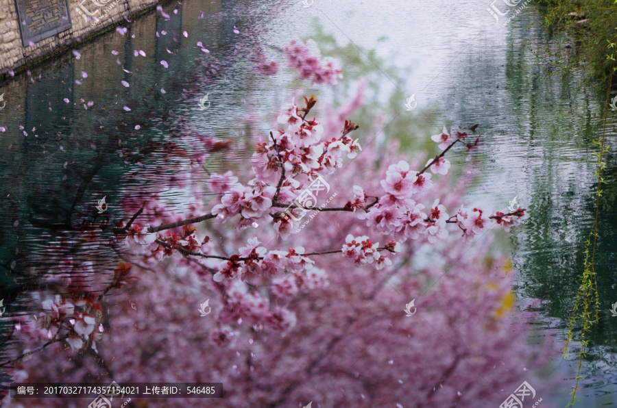 落花流水