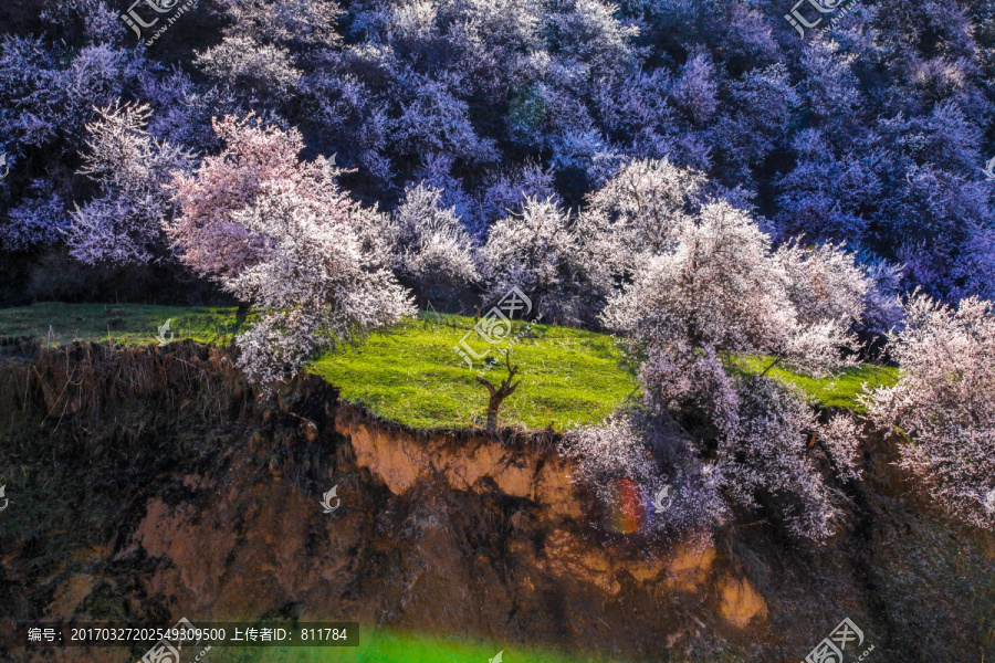 伊犁杏花沟