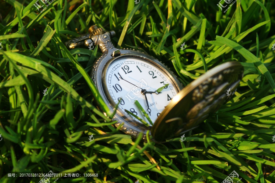 草丛中的挂表钟表时间生命JPG