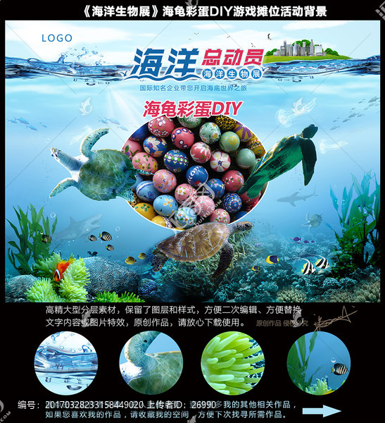 游戲攤位背景,海龜?shù)癉IY