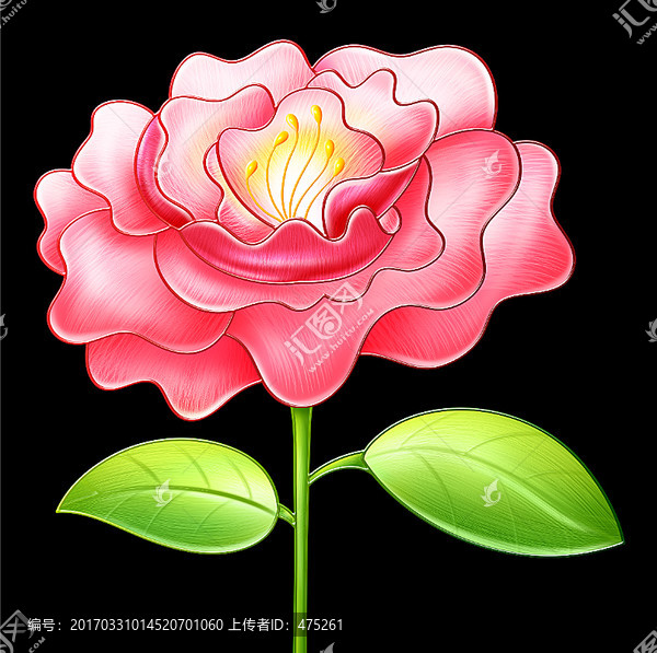月季花