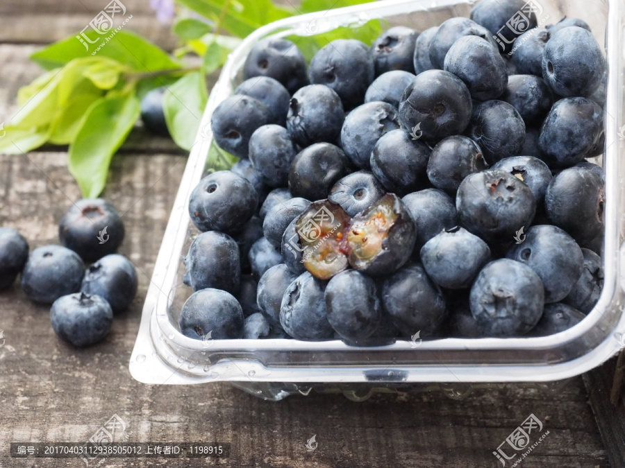 新鲜蓝莓果