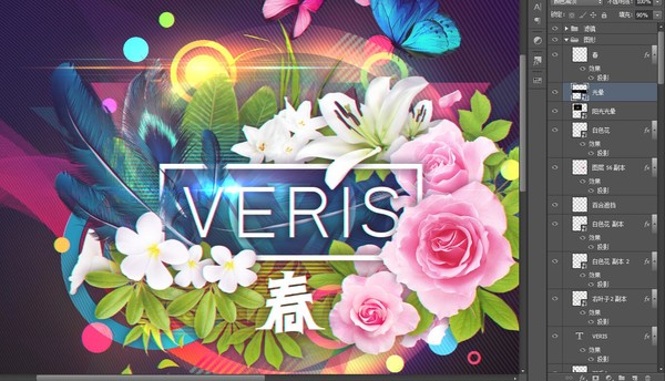 春天,VERIS