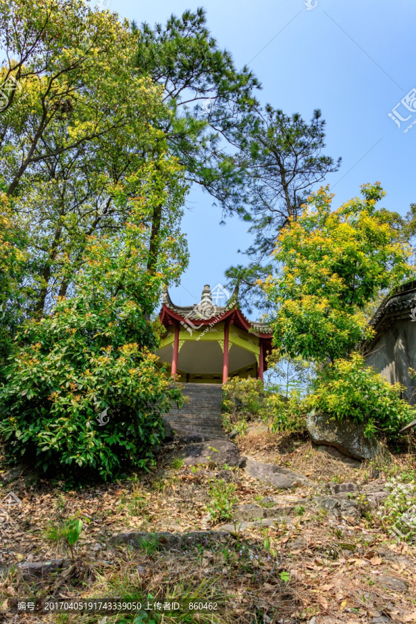 爬山路,登山道