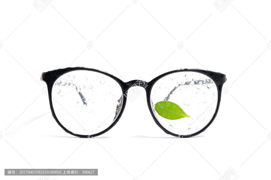 眼镜和绿叶