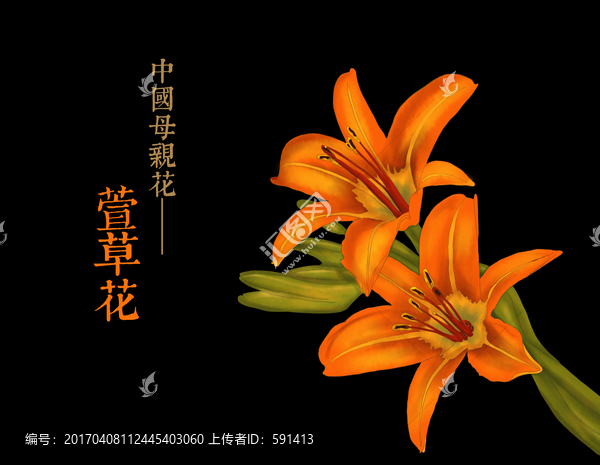 中國母親花萱草花