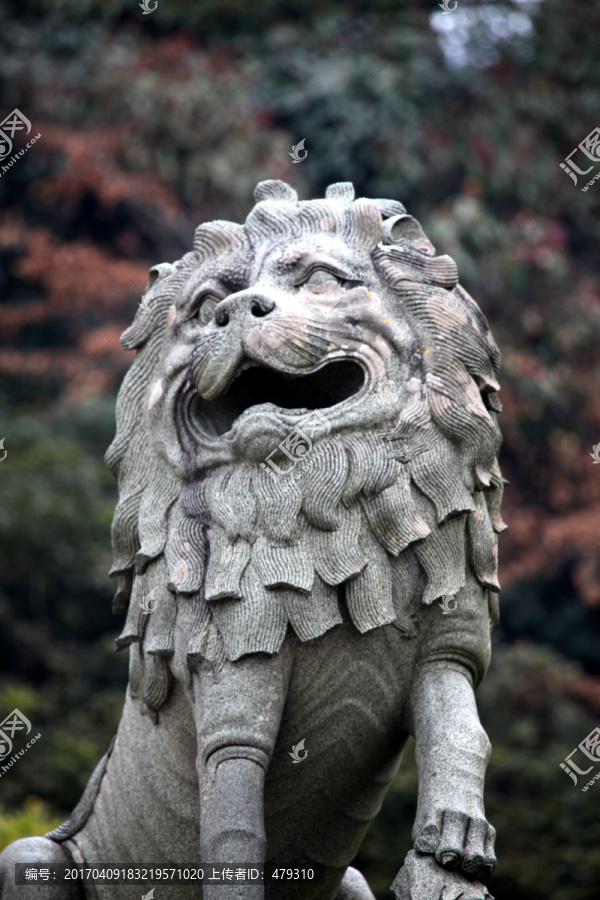 雕塑,狮子