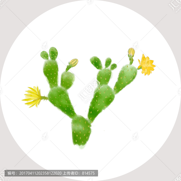 水彩仙人掌,手繪仙人掌