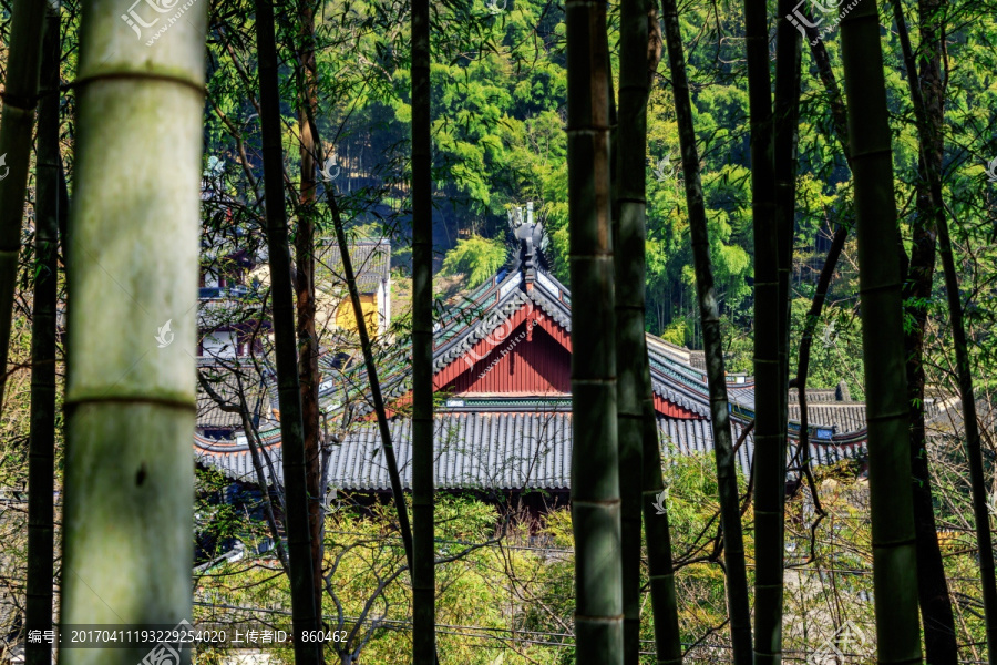 竹林寺庙