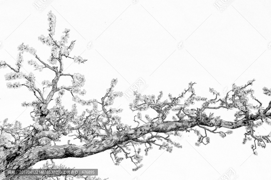 桃林素描