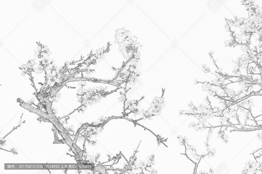 桃樹(shù)花開(kāi)素描