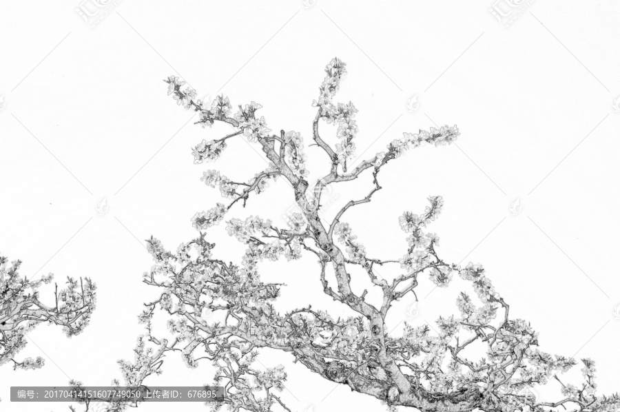 桃園素描圖