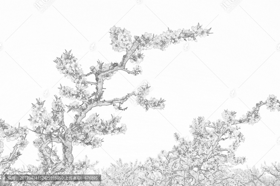 春天的桃林素描圖
