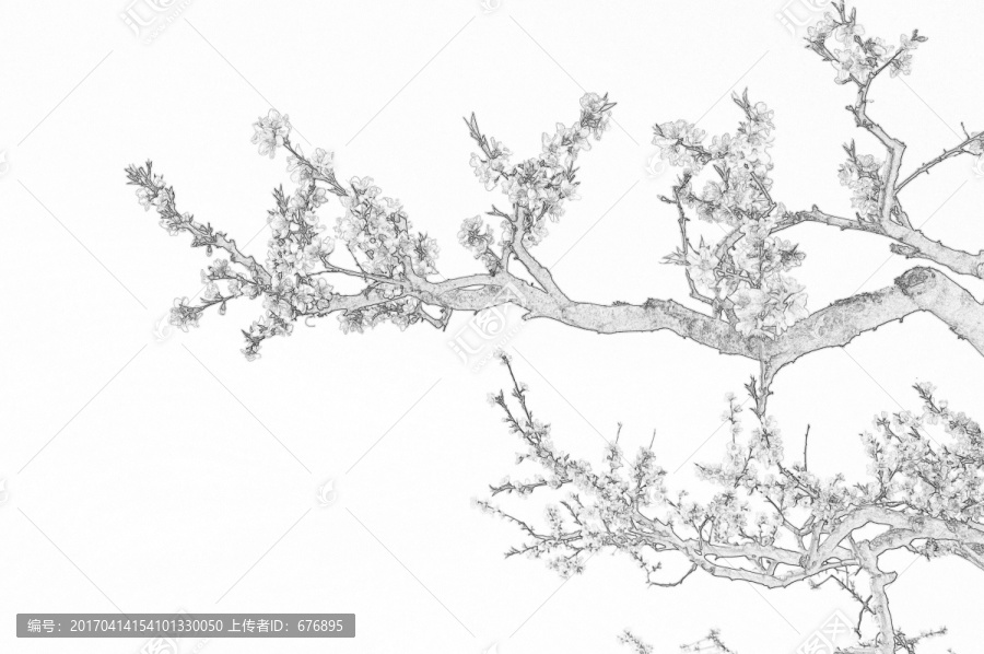 桃林花開(kāi)素描圖