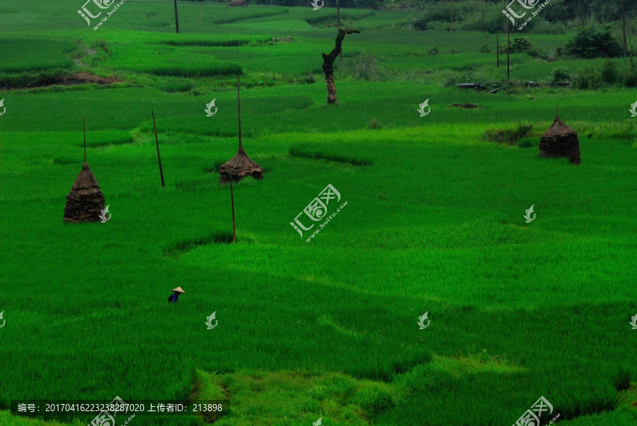 田園風(fēng)光