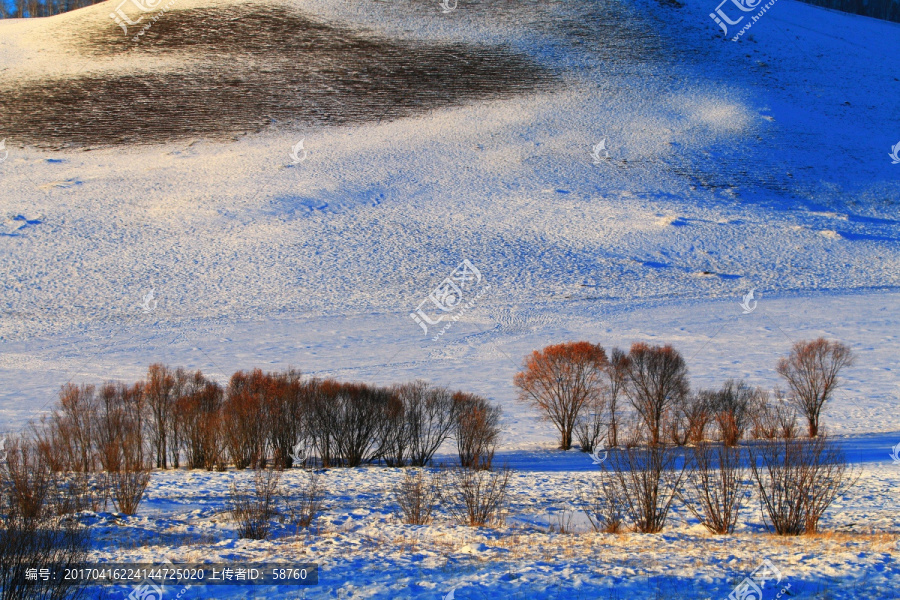 林海雪原树林风景