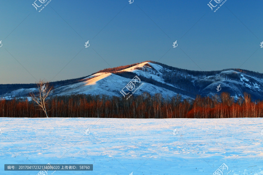 雪野山脉树林景观