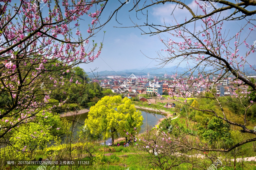 浙江兰溪转轮岩景区桃花