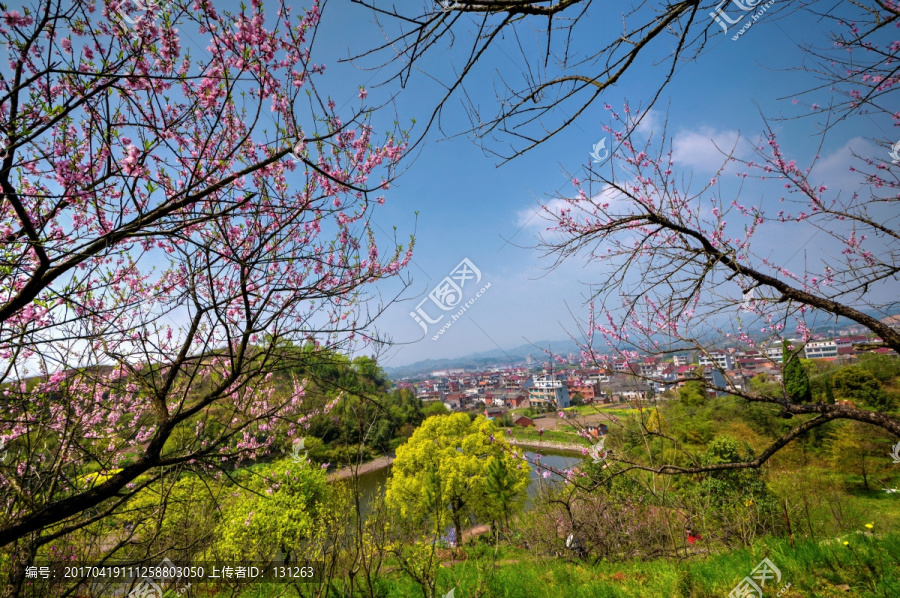 浙江兰溪转轮岩景区桃花