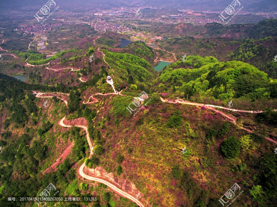 浙江兰溪转轮岩山路紫荆花航拍