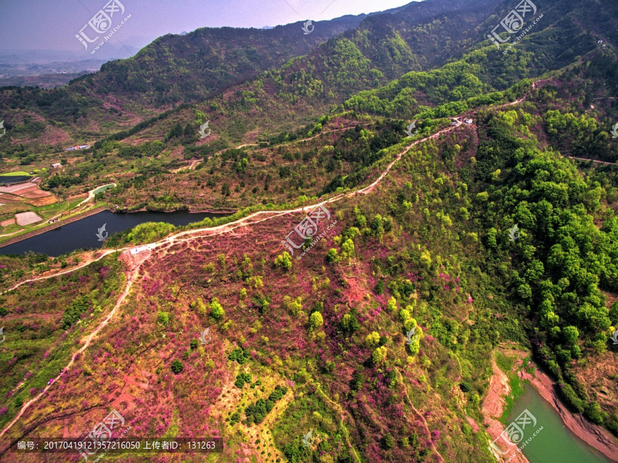 浙江兰溪转轮岩景区紫荆花航拍