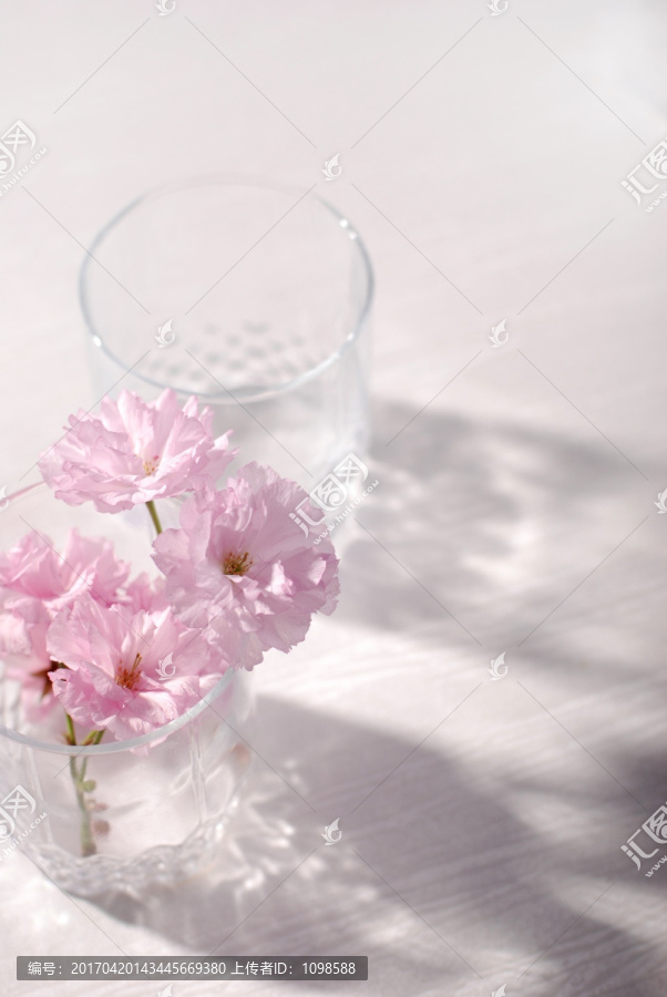 玻璃杯与花