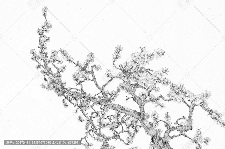 一枝花開(kāi)