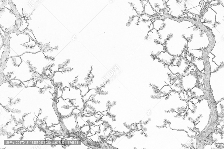 桃樹花開素描圖