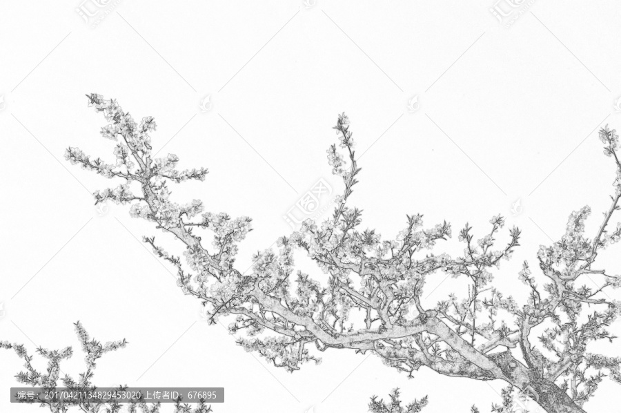 素描