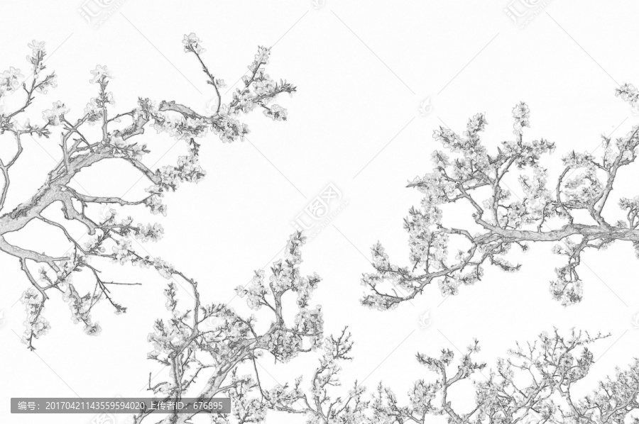素描桃林