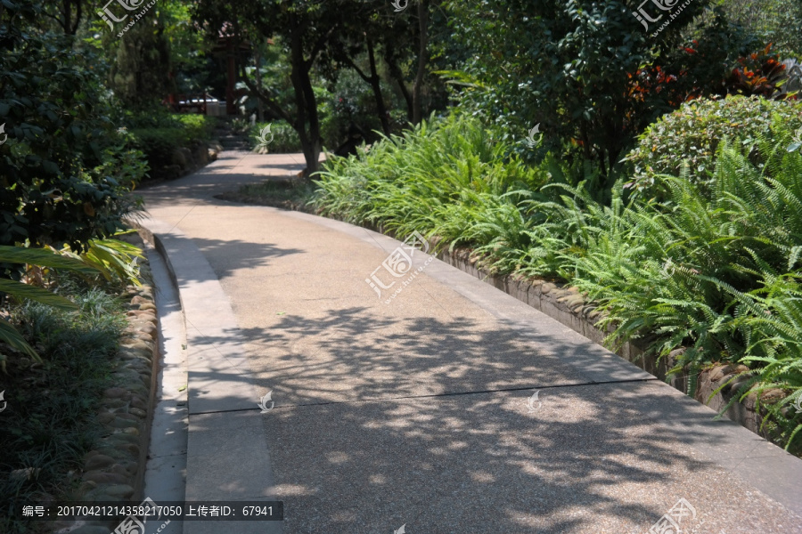 石米散步绿化小路