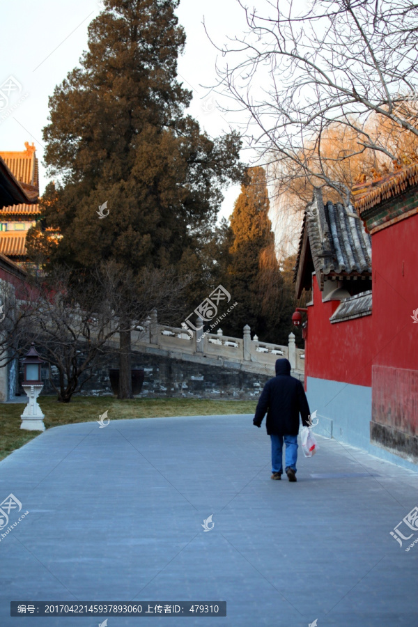 中国,故宫博物院,皇宫