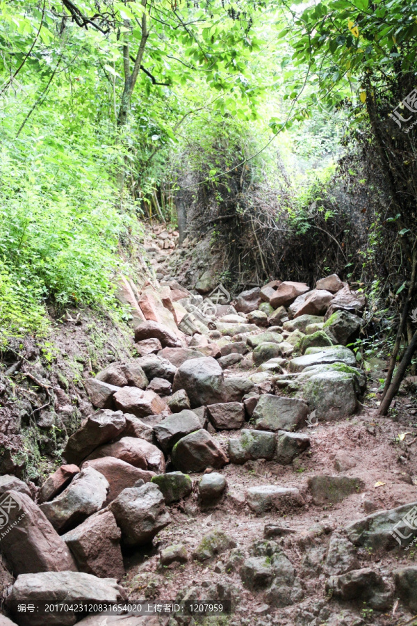 茶马古道