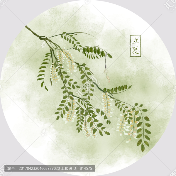 立夏,古風水彩槐花插畫