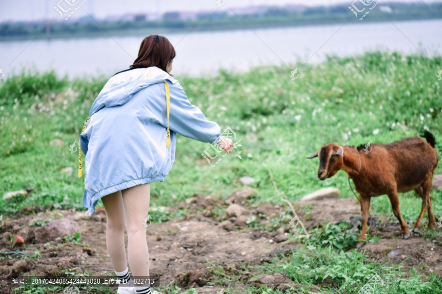 美女户外郊游