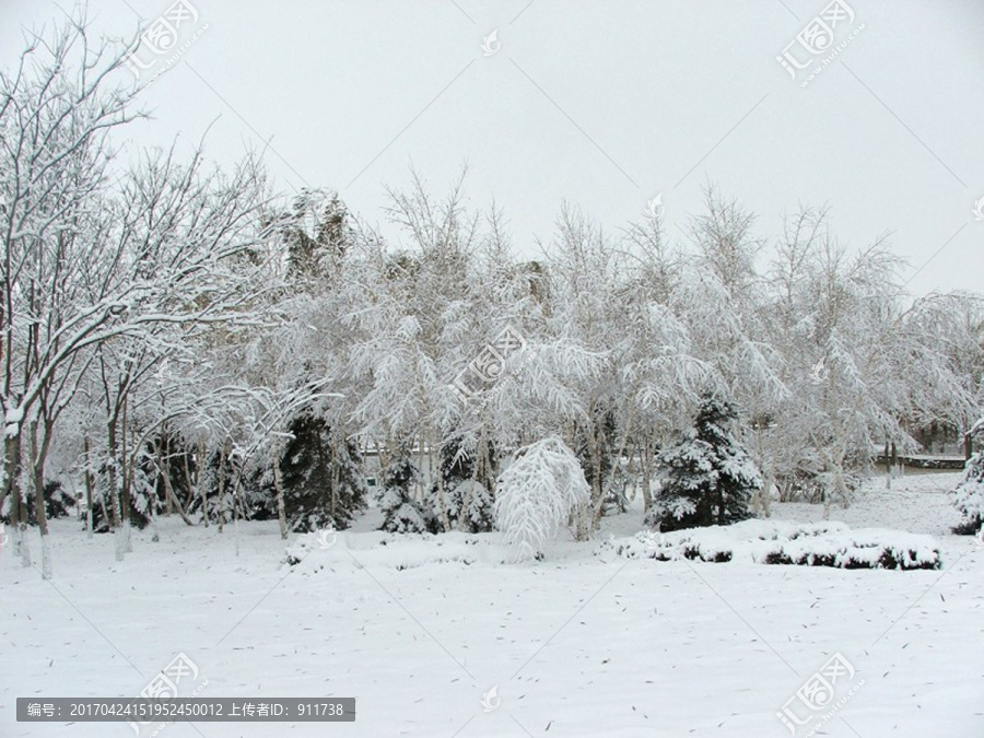 白雪皑皑,雪景