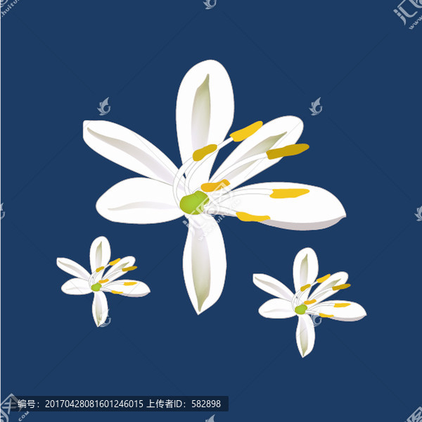 吊蘭花手繪