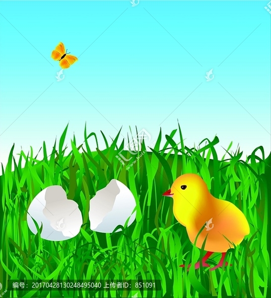 草地上的复活节小鸡