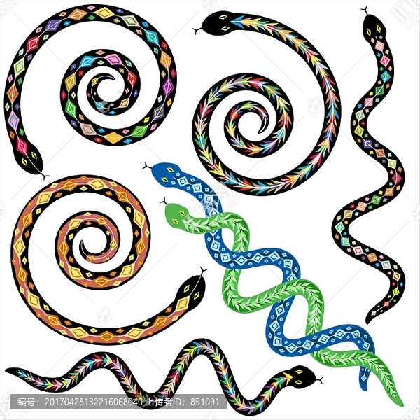 各种颜色的蛇