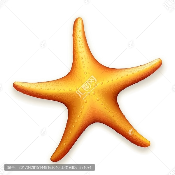 海星矢量圖