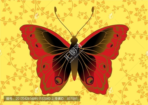 蝴蝶矢量插畫設計