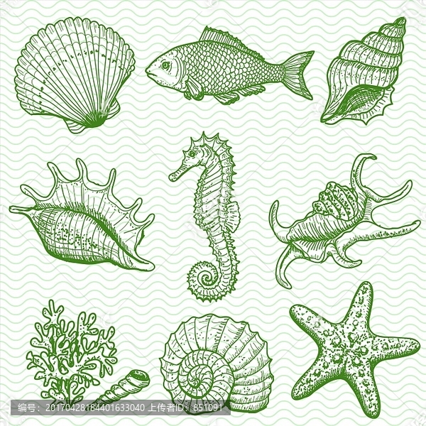 海洋生物矢量圖