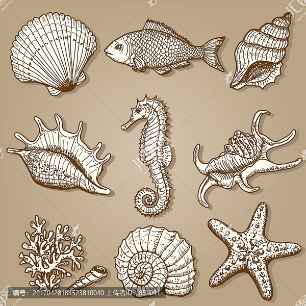 海洋生物矢量圖