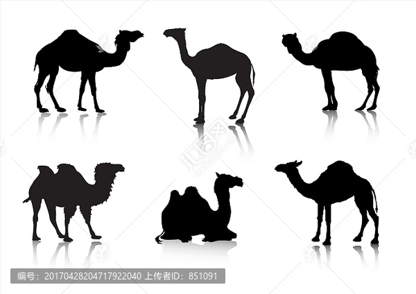 駱駝動物剪影