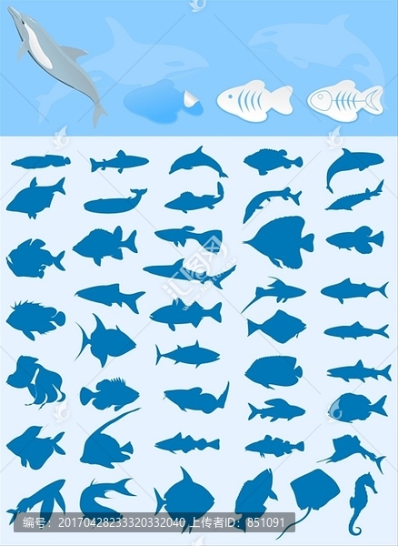 鱼类采集矢量插画