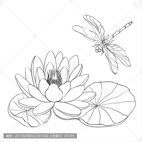 白睡蓮和白蜻蜓矢量插畫