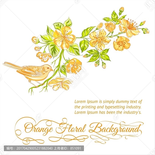 盛開的櫻花插圖