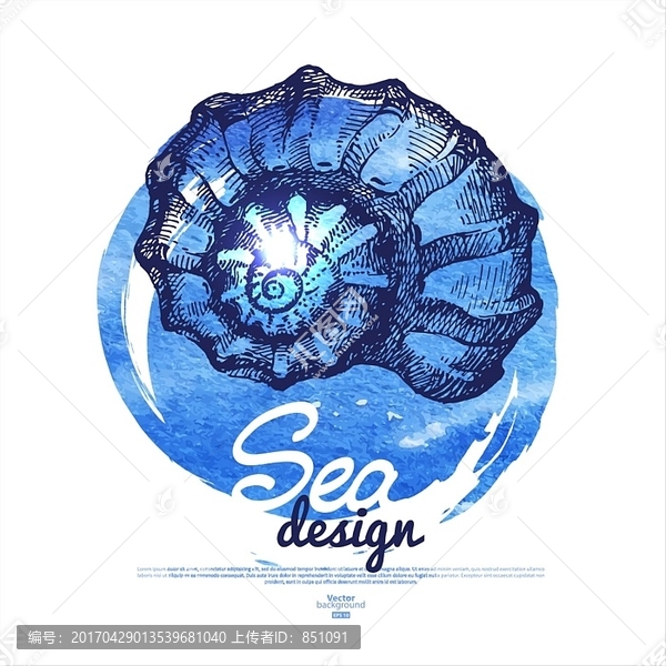 貝殼矢量圖