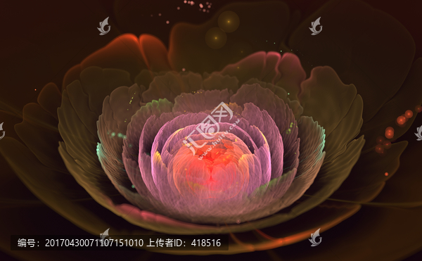 花朵